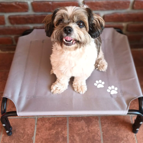 CATRE S 60x50cm - comprar online