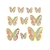Mariposas bicolor
