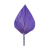 Palma Morado