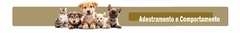 Banner da categoria Adestramento e Comportamento