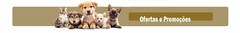 Banner da categoria Promoções