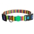Coleira Rainbow para Cães na internet