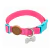 Coleira Toh Fiji com Tag ID - Chic Pet Store - Loja Virtual de Produtos Pet