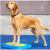 Discos Flexíveis FitPaws Targets - Chic Pet Store - Loja Virtual de Produtos Pet