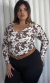 Camiseta cow en internet