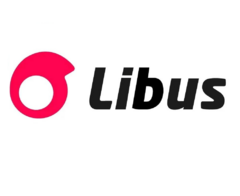Anteojo De Seguridad Libus Argon Gris Antirrayadura Hc - comprar online