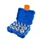 Juego De Dados Tipo E Para Bujia 14 Piezas WST3D14