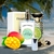 Perfume alternativo a FAME 50ml, en una playa, con mango, vainilla, bergamota y citricos