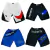 Kit 6 Bermuda Shorts Masculino Tactel Elastano Refletivo Treino na internet