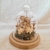 Redoma P Jardim Sagrada Família - comprar online