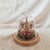 Redoma P Jardim Nossa Senhora Aparecida - comprar online