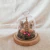 Redoma P Jardim Nossa Senhora Aparecida - comprar online
