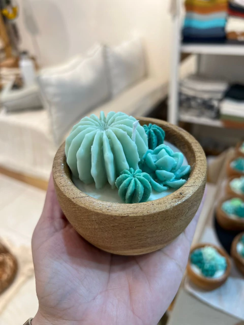 Vela cactus - comprar online