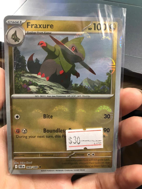FRAXURE POKE BALL 069/086