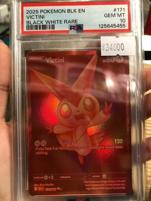 VICTINI PSA 171