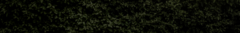 Banner da categoria Whispers Of Eden