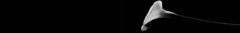 Banner for category SEMANA CONSUMIDOR | Maison Exclusive