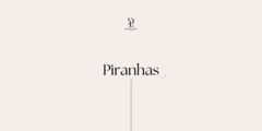 Banner da categoria Piranhas