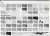 Letratone Letraset Retícula Adesiva Folha 25 X 38cm LT100 - loja online