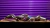 Long Tube Header C63 W204 - loja online