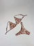 Conjunto Solar