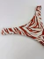 Conjunto Solar na internet