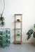 Biblioteca Chiapas - Bronx Concept