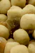 Imagem do Extrusada Sellecta Papagaio e Arara Natural com Frutas - 350 Gramas e 03 Kg