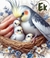 Ninhos e Acessórios para Aves