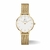 Relógio Feminino Madeleine Dourado Gold 32mm - comprar online