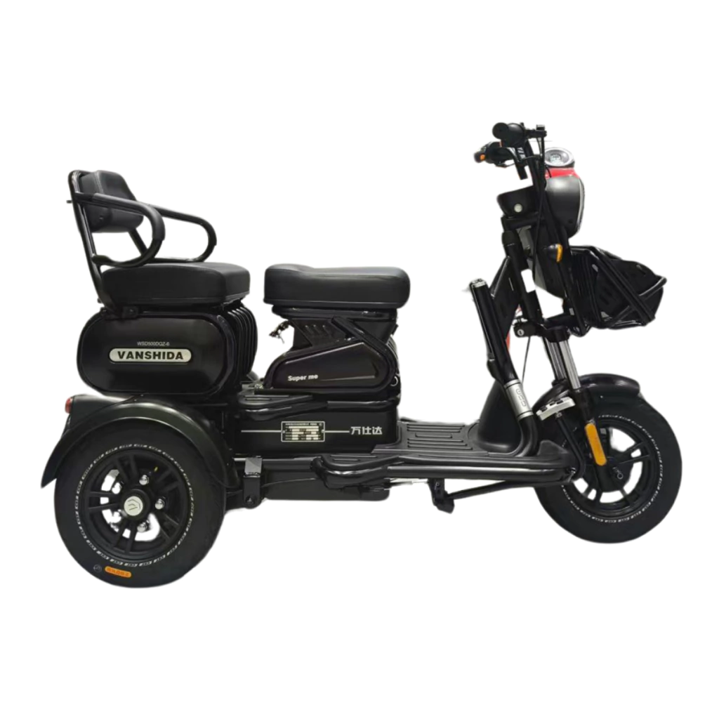 Triciclo Elétrico Scooter 800W Wsd-U1