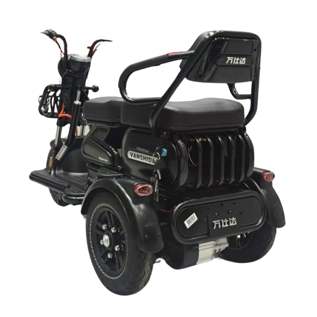 Triciclo Elétrico Scooter 800W Wsd-U1