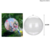 BOLA ACRILICA P/ DECORAÇÃO 6,5 CM PCT C/ 5 PÇS 4016026
