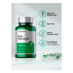 Saw Palmetto | 3600mg | Horbaach en internet