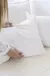 Almohadon Gaia en internet