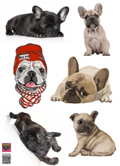 PLANTILLA DE 20CM POR 14, 4 CM DTF TERMOPEGABLE TEMATICA PERROS - comprar online