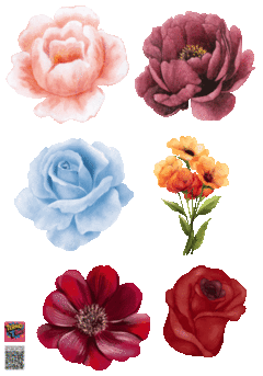 PLANTILLA 20 CM X 14, 4 CM DE APLIQUES DTF TERMOPEGABLE TEMATICA FLORES - BOX POPULIX