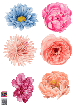 PLANTILLA 20 CM X 14, 4 CM DE APLIQUES DTF TERMOPEGABLE TEMATICA FLORES en internet