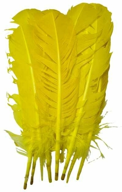 PLUMAS DE PATO/GANSO POR 10 UNIDADES - comprar online