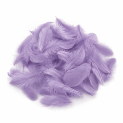 PLUMAS MEDIDAS (de 3 a 6 cm) Y MODELOS SURTIDAS BOLSA 5 G APROX. - comprar online