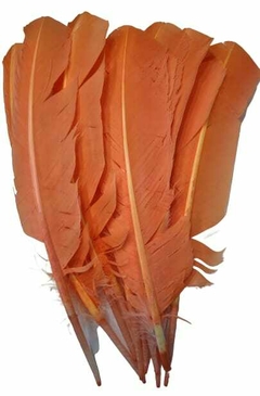 PLUMAS DE PATO/GANSO POR 10 UNIDADES - tienda online