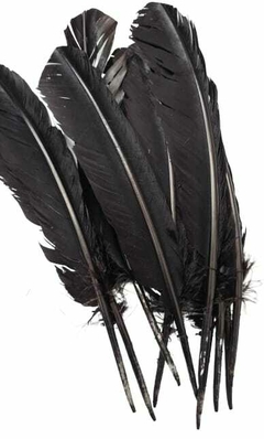 Imagen de PLUMAS DE PATO/GANSO POR 10 UNIDADES