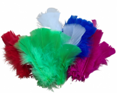 PLUMAS GALLO POR 50 UNIDADES