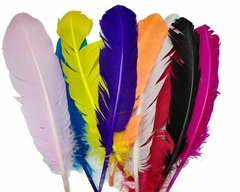 PLUMAS DE PATO/GANSO POR 10 UNIDADES