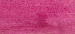 PINTURA Bi LACA TONALIZADORA Y LACA PROTECTORA TODO EN UNO 200 CC - tienda online