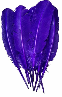 PLUMAS DE PATO/GANSO POR 10 UNIDADES - tienda online