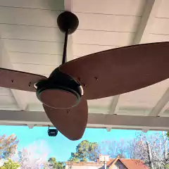 Lina Kona sin plafón led en internet