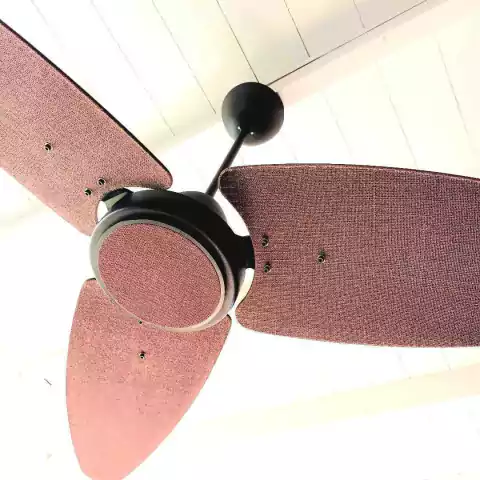 Lina Kona sin plafón led