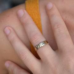 Anillo caniche bronce en internet