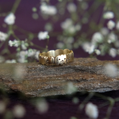 Anillo caniche bronce